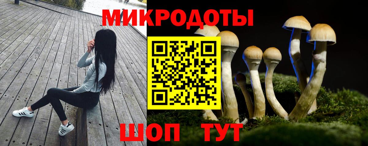 Щёлково  Галлюциногенные грибы GOLDEN TEACHER  Вход с VPN 